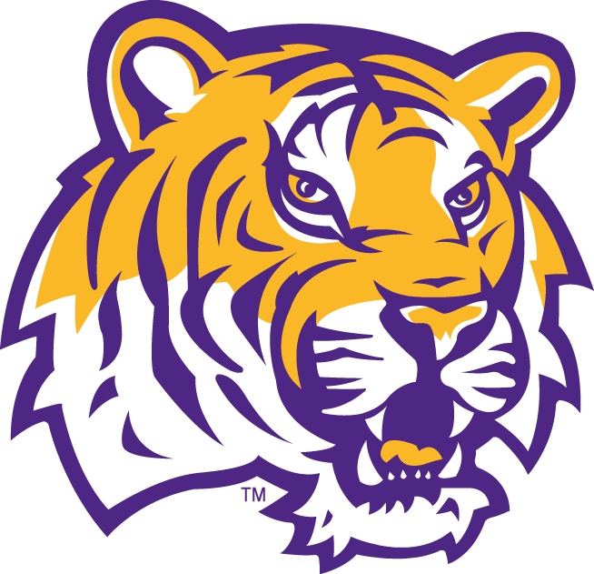 LSU Tigers 2002-Pres Alternate Logo diy fabric transfer